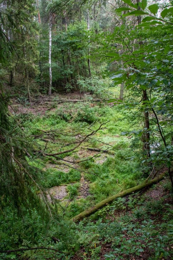 Отель Osrodek Wypoczynkowy "Zrodla Dobrej" Олесно Экстерьер фото
